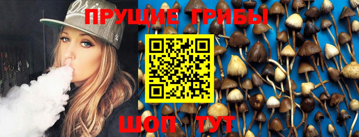 Псилоцибиновые грибы GOLDEN TEACHER Чернушка