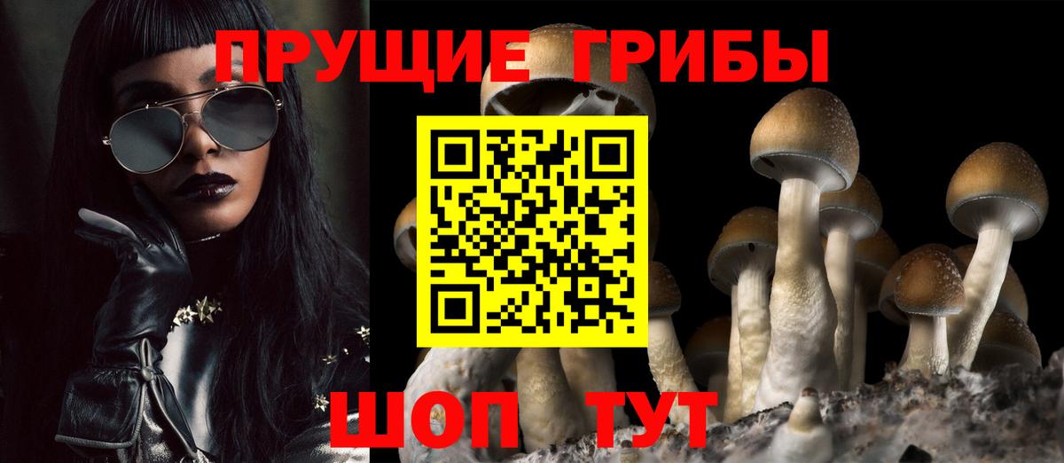 Чернушка  Галлюциногенные грибы MAGIC MUSHROOMS  Вход с VPN  Галлюциногенные грибы мухоморы 
